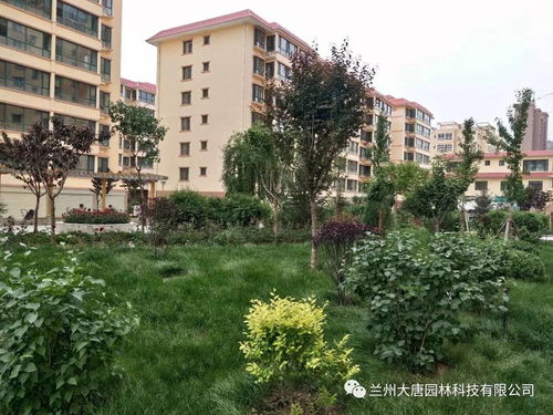 臨洮怡康苑住宅小區(qū)園林景觀綠化工程